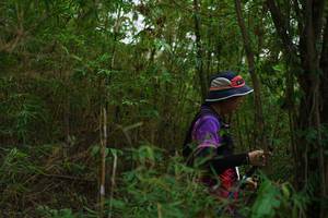 BIB: 
                            <button type="button" onclick="openModal(22241972)" class="btn btn-primary btn-sm float-right btn-popup" data-toggle="modal" data-target=".modal-high-quality">
                        <i class="fas fa-shopping-cart"></i> Add to Cart
                    </button>
                                            <button type="button" onclick="isThisMe(22241972, true)" class="btn btn-success btn-sm float-right btn-popup btn-isme hidden" data-toggle="tooltip" data-placement="bottom" title="นี่คือรูปของคุณใช่ไหม คลิกที่นี่เพื่อเอาเข้าอัลบั้ม">
                        <i class="fas fa-plus"></i> Add to album
                    </button>
                    <button type="button" onclick="isThisMe(22241972, false)" class="btn btn-warning btn-sm float-right btn-popup btn-isnotme hidden">
                        <i class="fas fa-ban"></i> Remove from album
                    </button>